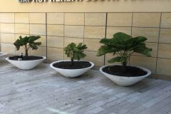 Miami-cancer-institute-e1524660937818