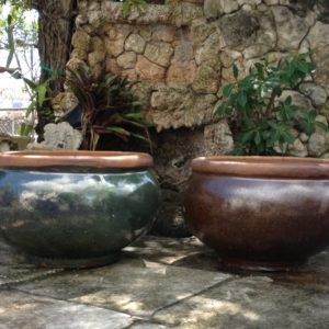 Ceramic Bowl Planter