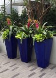 Square Ceramic Planter